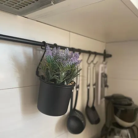 Appartement Nada Betina (Sibenik-Knin)